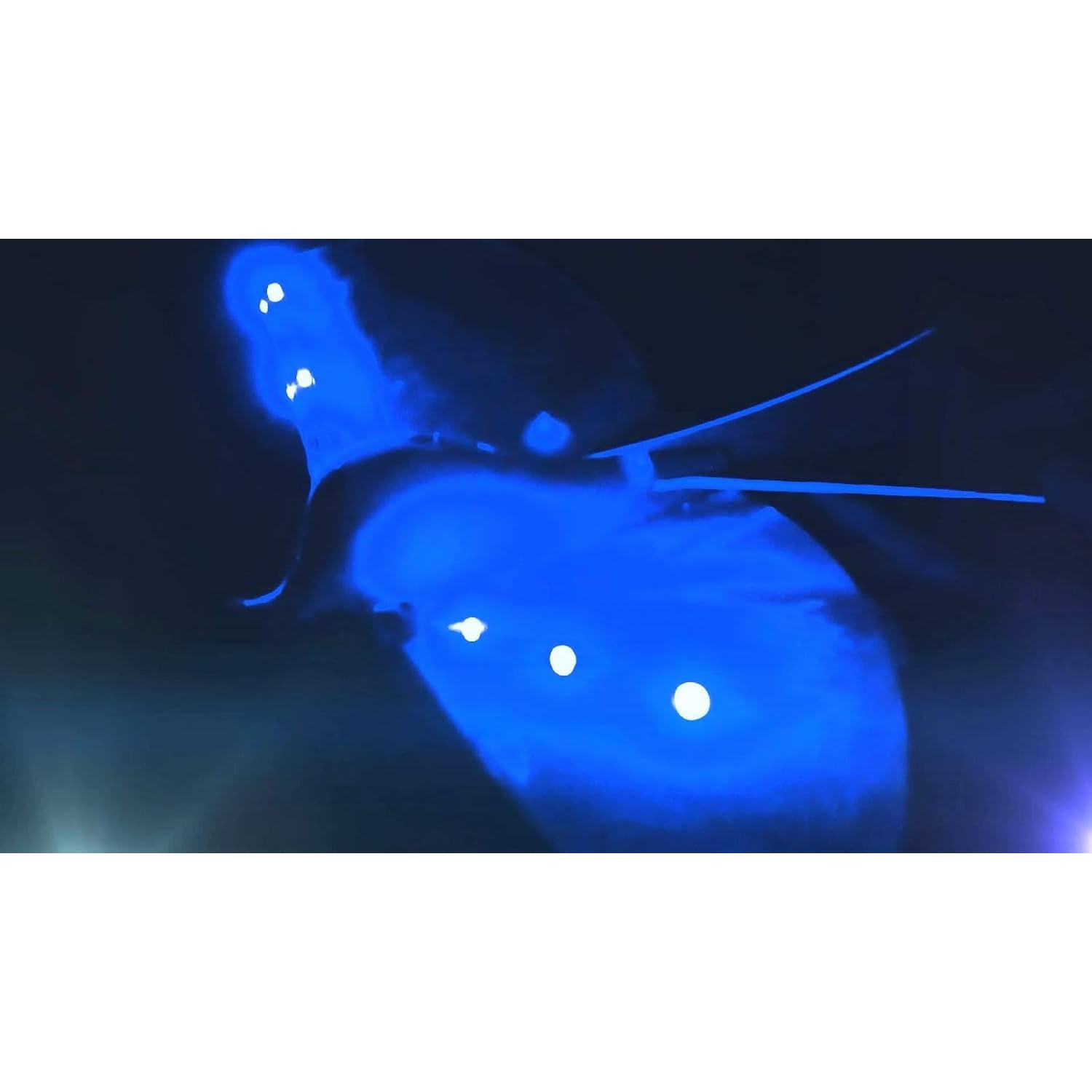 Duncan Dragon Hawk Juguete Volador Motorizado Luz LED 24 cm