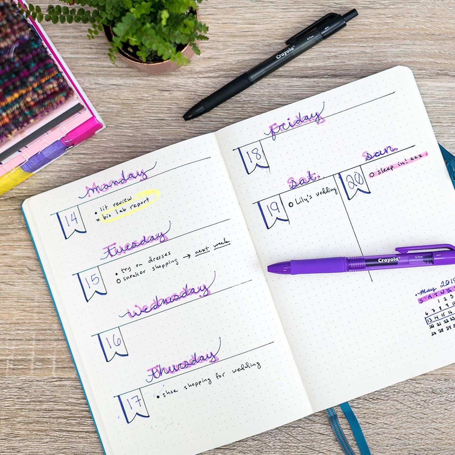 Bolígrafos de Gel Lavables Crayola Take Note 14 Colores