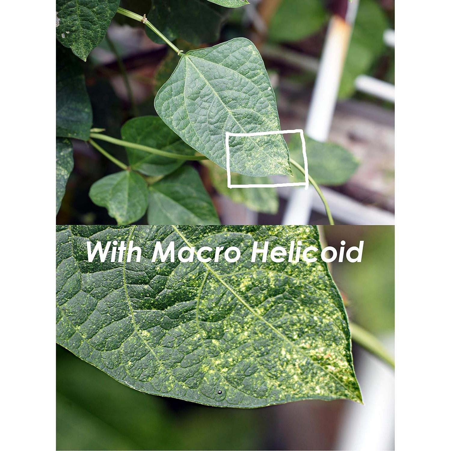 Adaptador Helicoidal M42 a Montura E Sony - Fotasy 32mm