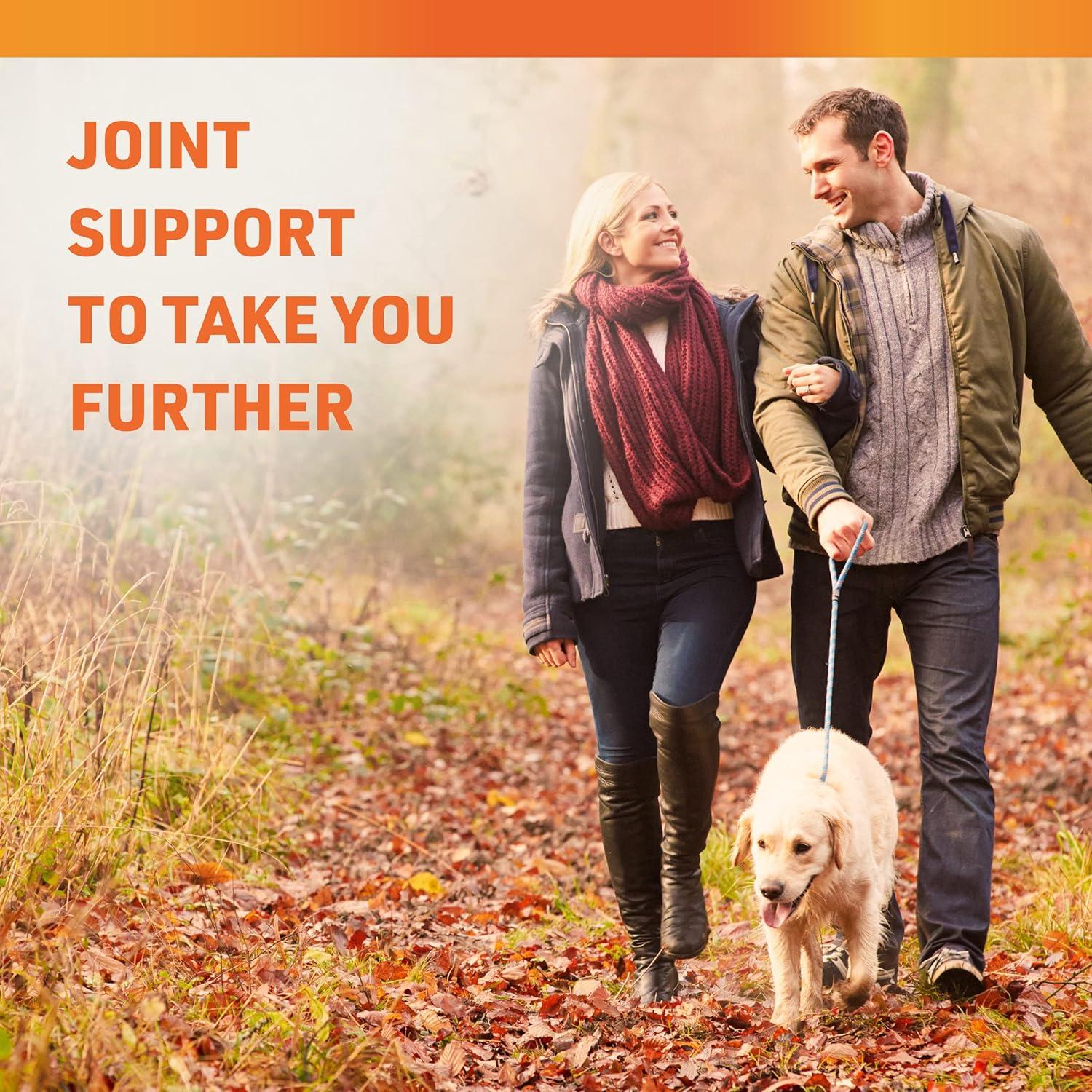 Suplemento de Cúrcuma y Jengibre Nature's Base 60 Cápsulas