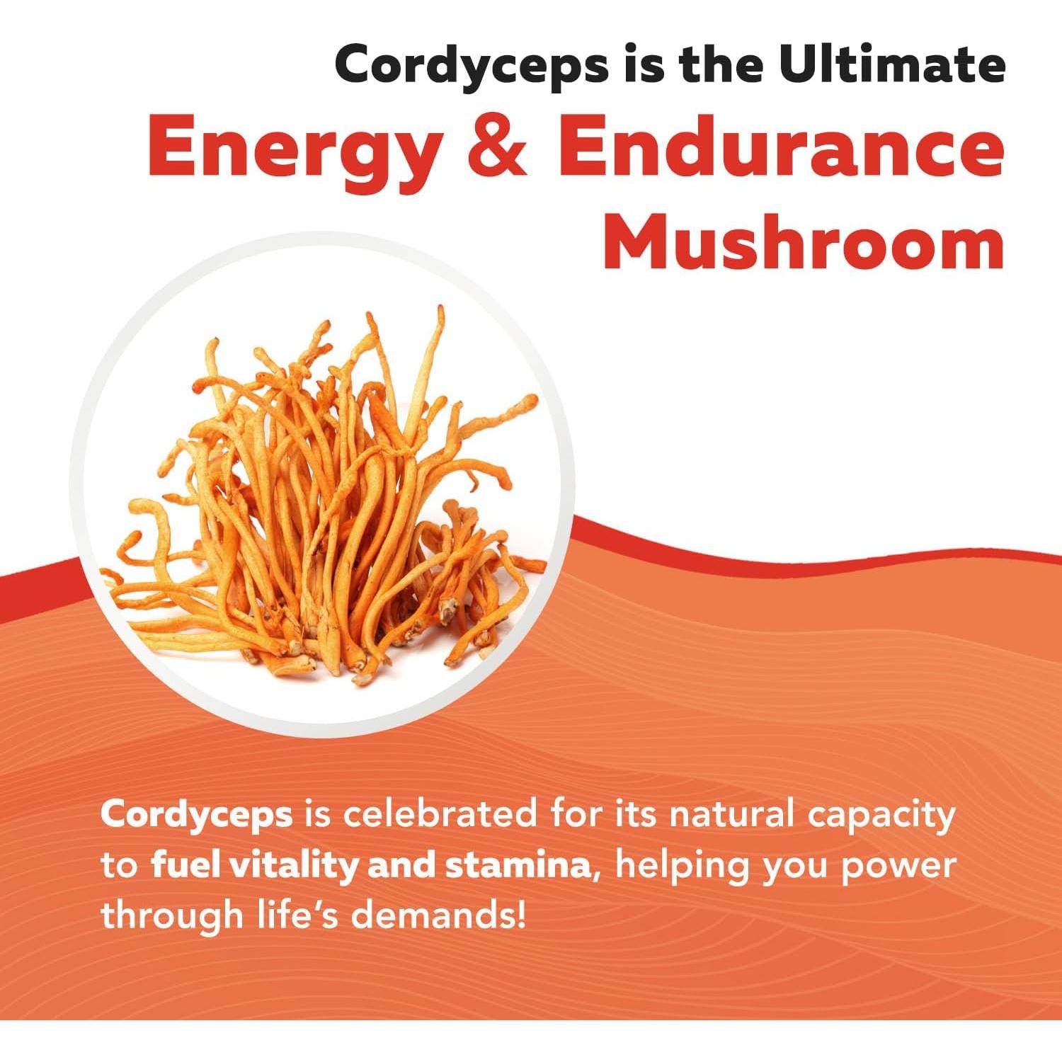 Extracto de Hongo Cordyceps Orgánico Triquetra Health - 60 Cápsulas