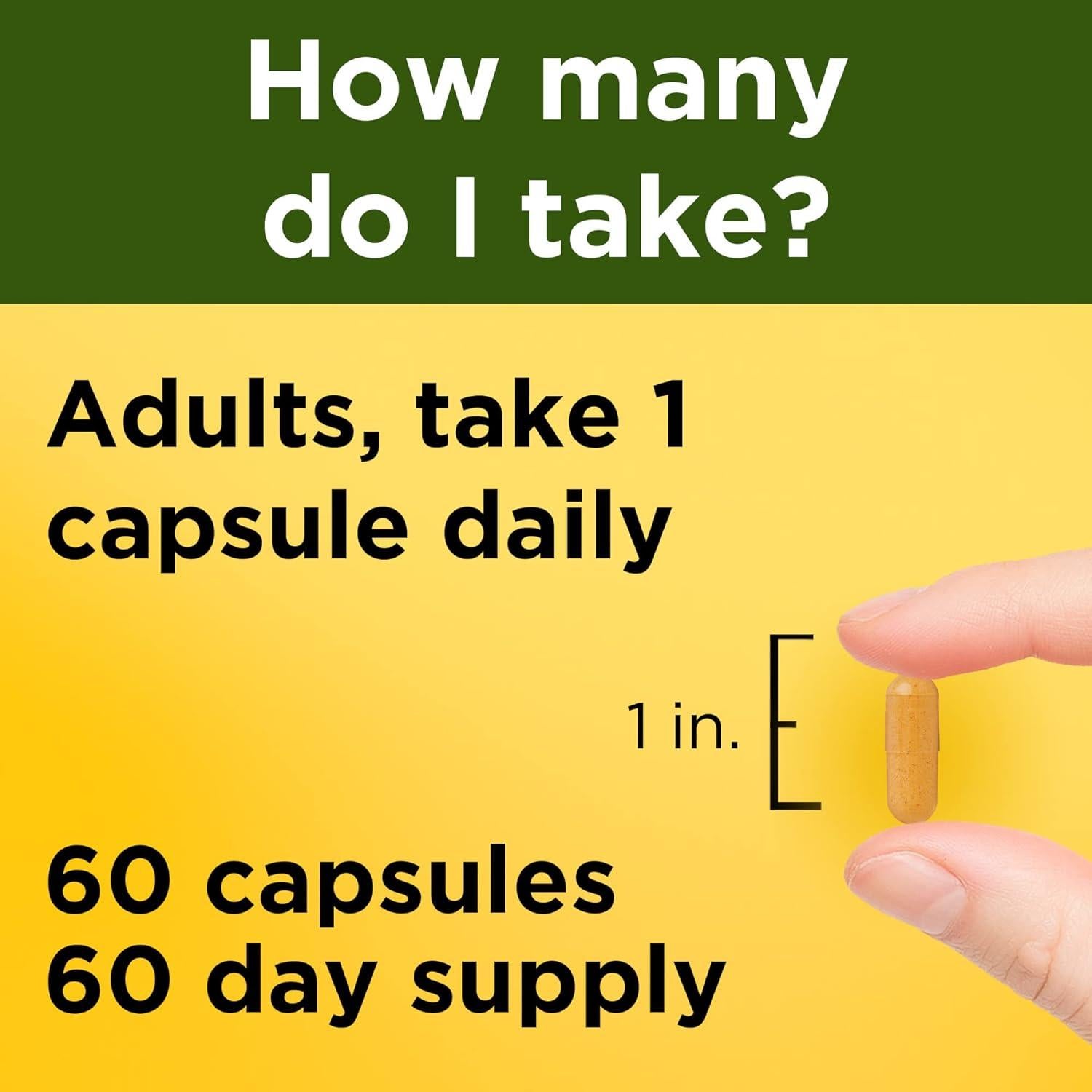 Cápsulas de Cúrcuma Curcumina 500 mg Nature Made - 60 Unidades