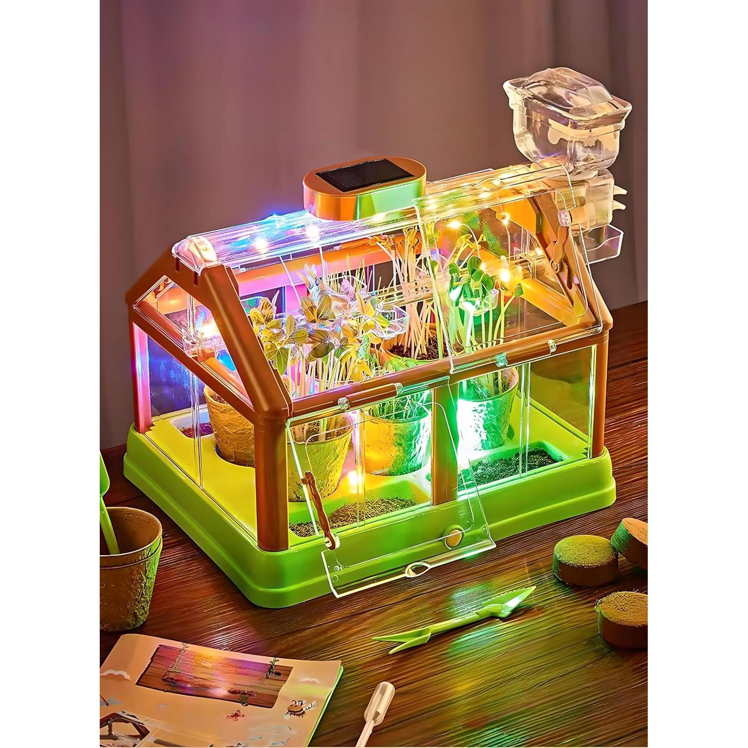 Kit de Terrario Solar GrandSail para Niños 4-8 Años