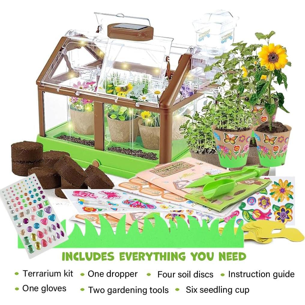 Kit de Terrario Solar GrandSail para Niños 4-8 Años