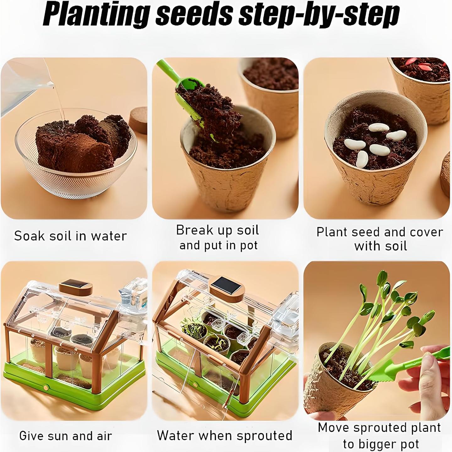 Kit de Terrario Solar GrandSail para Niños 4-8 Años