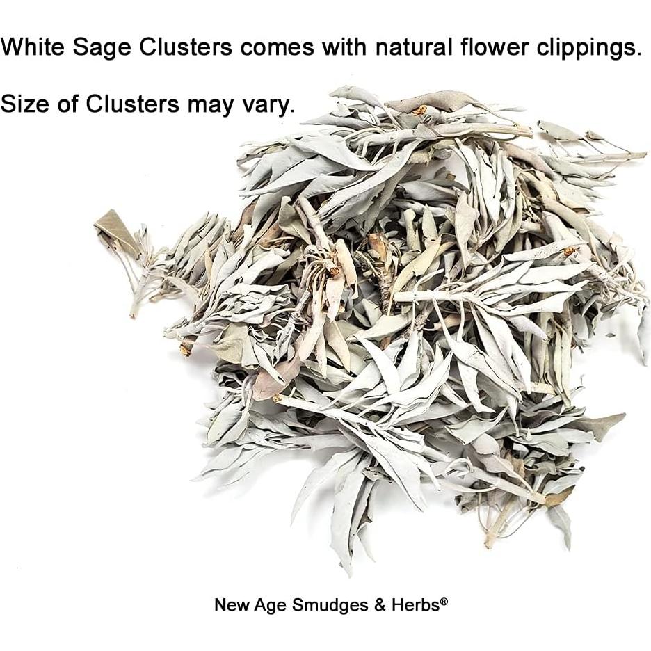 Hojas de Salvia Blanca Orgánica 453g New Age Smudges