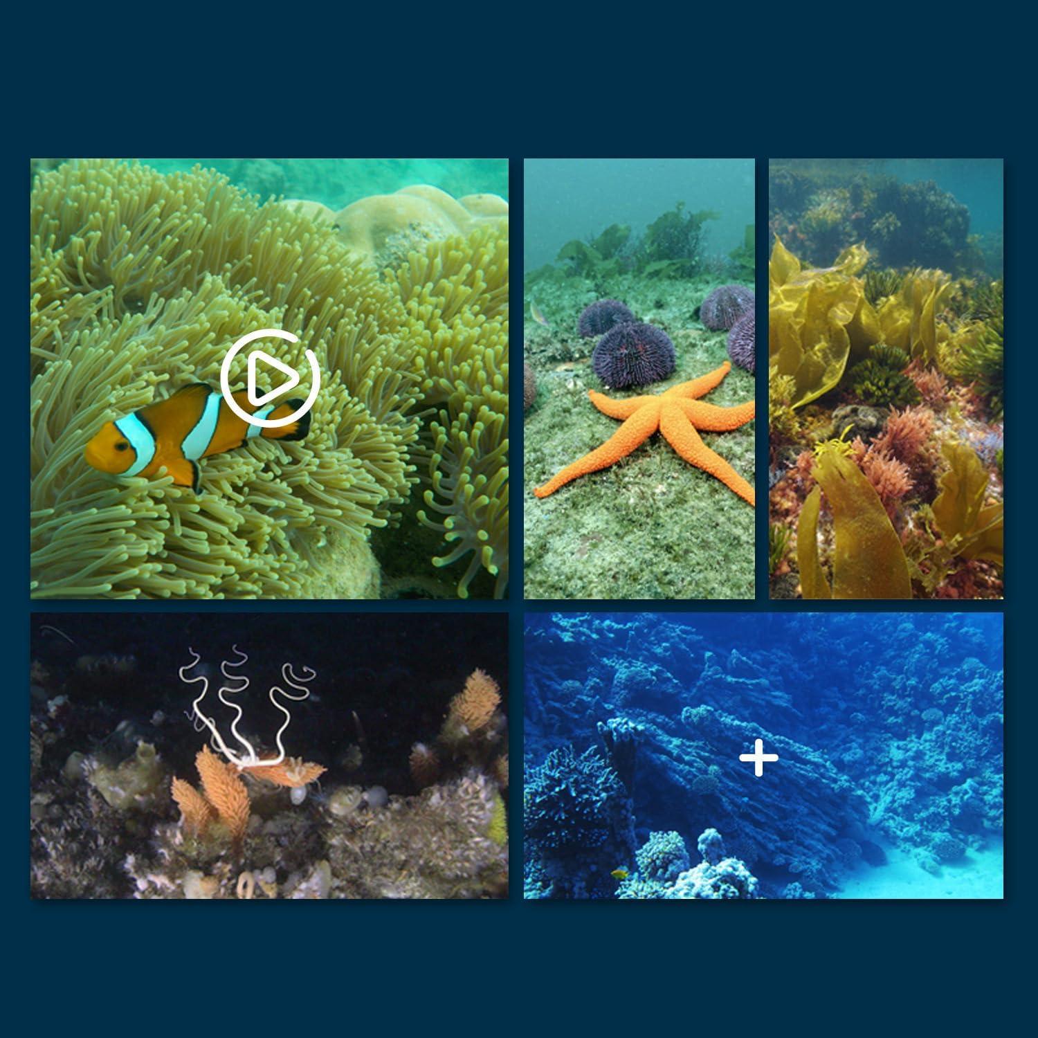 Barco RC WiFi Impermeable SHANTOU 777-273 con Cámara HD