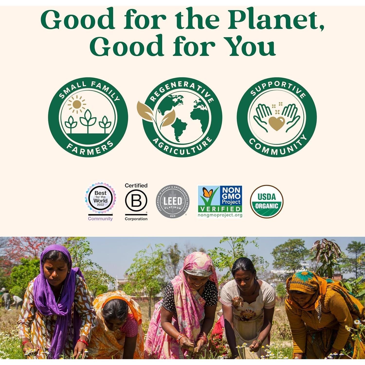 Polvo de Psyllium Orgánico India - Suplemento Digestivo 340g