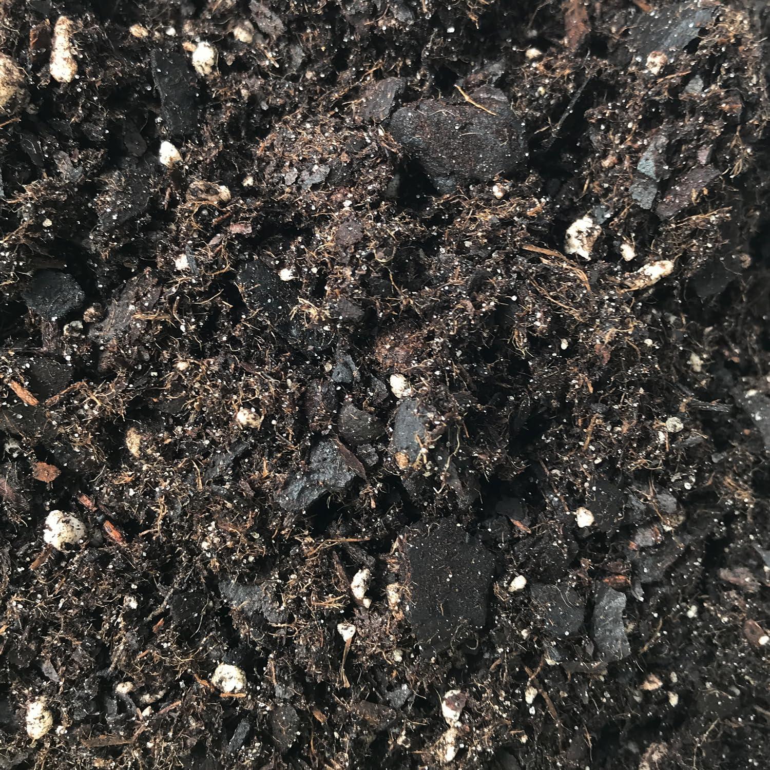 Mezcla de Suelo Premium para Philodendron - 0.45 kg - Wekiva Foliage