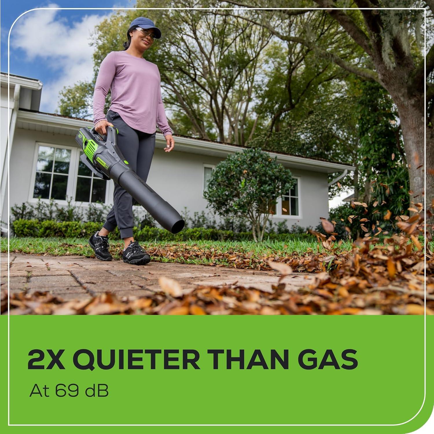 Soplador de Hojas Greenworks 60V 610 CFM Batería 2.5Ah