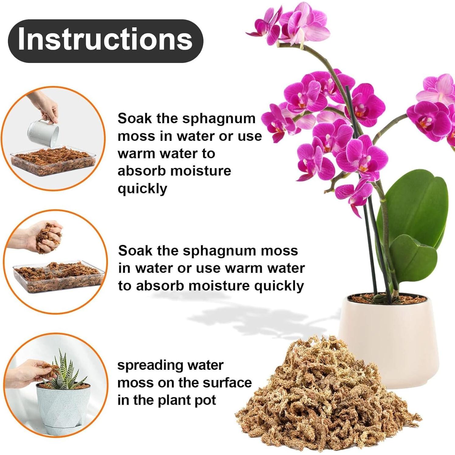 Musgo Sphagnum Seco 85g Spagmoss-OR para Orquídeas y Suculentas