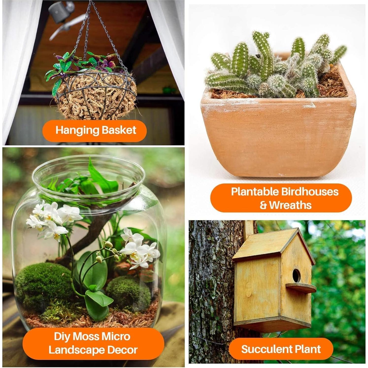 Musgo Sphagnum Seco 85g Spagmoss-OR para Orquídeas y Suculentas