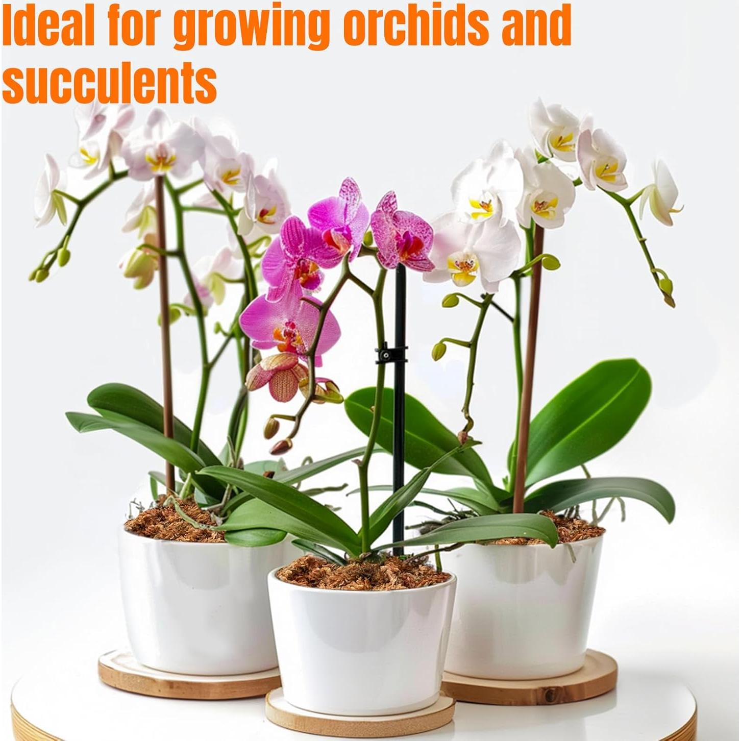 Musgo Sphagnum Seco 85g Spagmoss-OR para Orquídeas y Suculentas