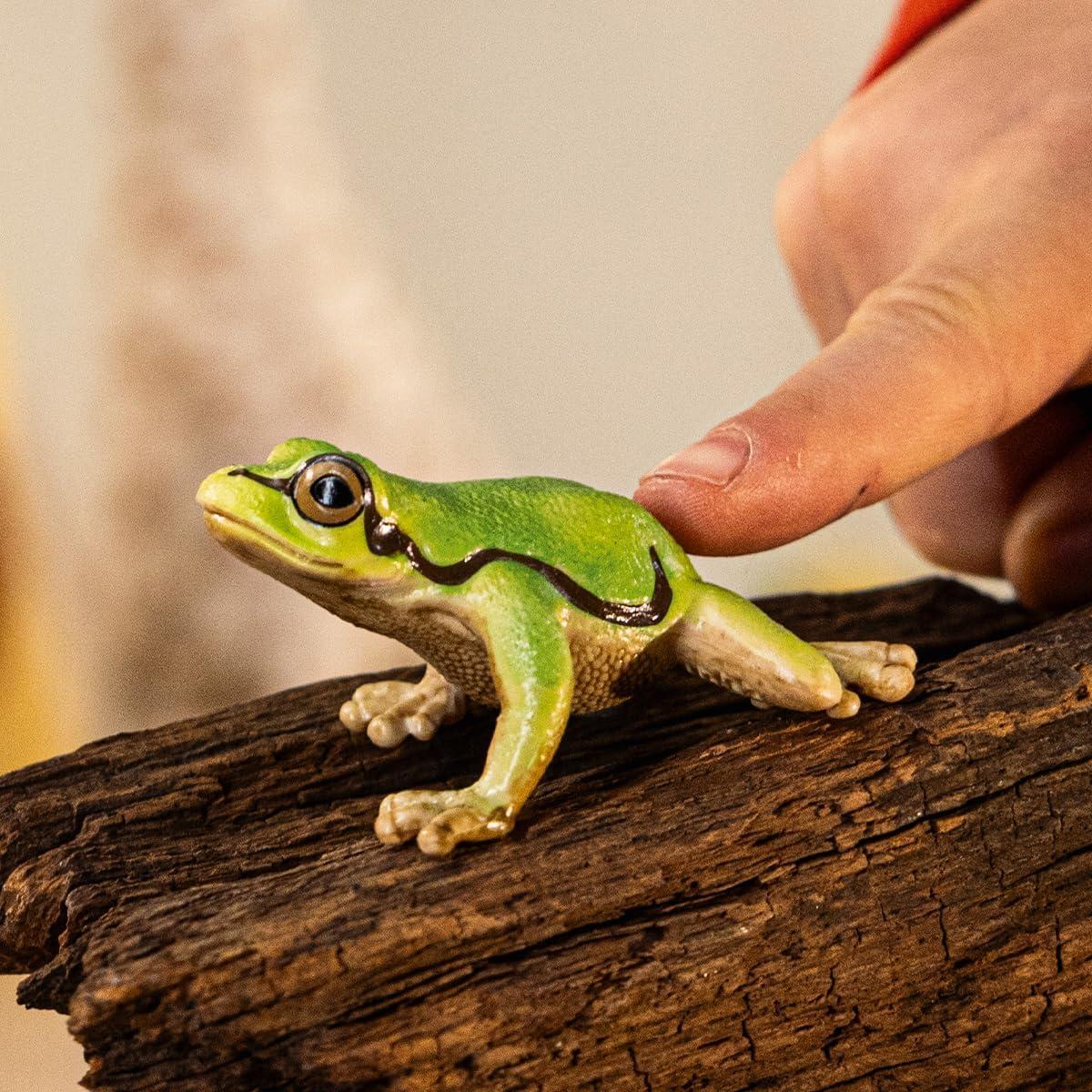 Wild Life - 3" European Tree Frog Toy Figurine. Realistic Hand-Painted Animal Toys for Boys and Girls. Durable Educational Wolf Figure for Imaginative Play. Kids and Toddlers Ages 3+ 14882