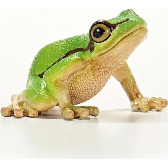 Wild Life - 3" European Tree Frog Toy Figurine. Realistic Hand-Painted Animal Toys for Boys and Girls. Durable Educational Wolf Figure for Imaginative Play. Kids and Toddlers Ages 3+ 14882