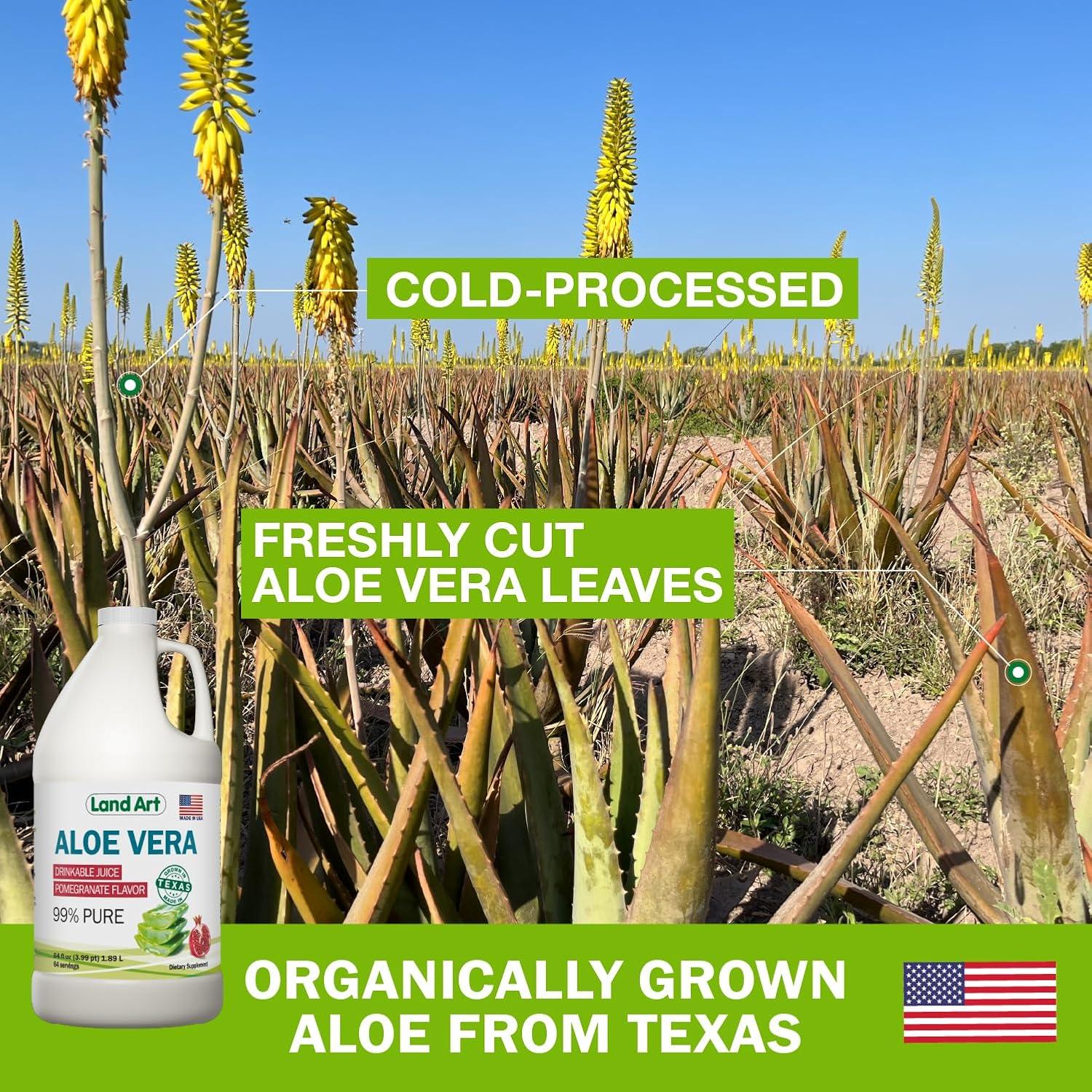 Jugo Puro de Aloe Vera Land Art 64 oz Sabor Granada Orgánico