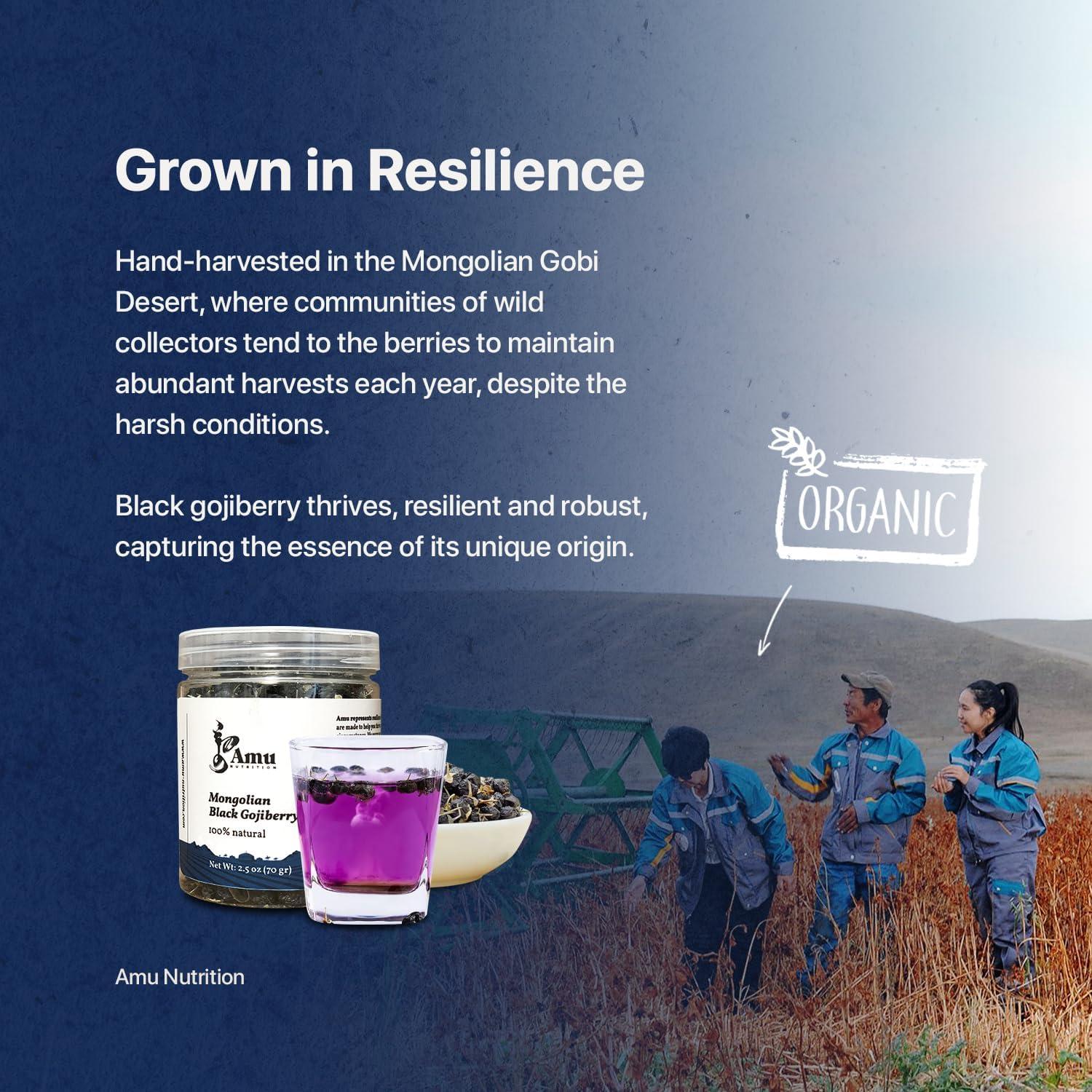 Té de Baya de Goji de Lobo Negro Mongol Amu Nutrition 70g