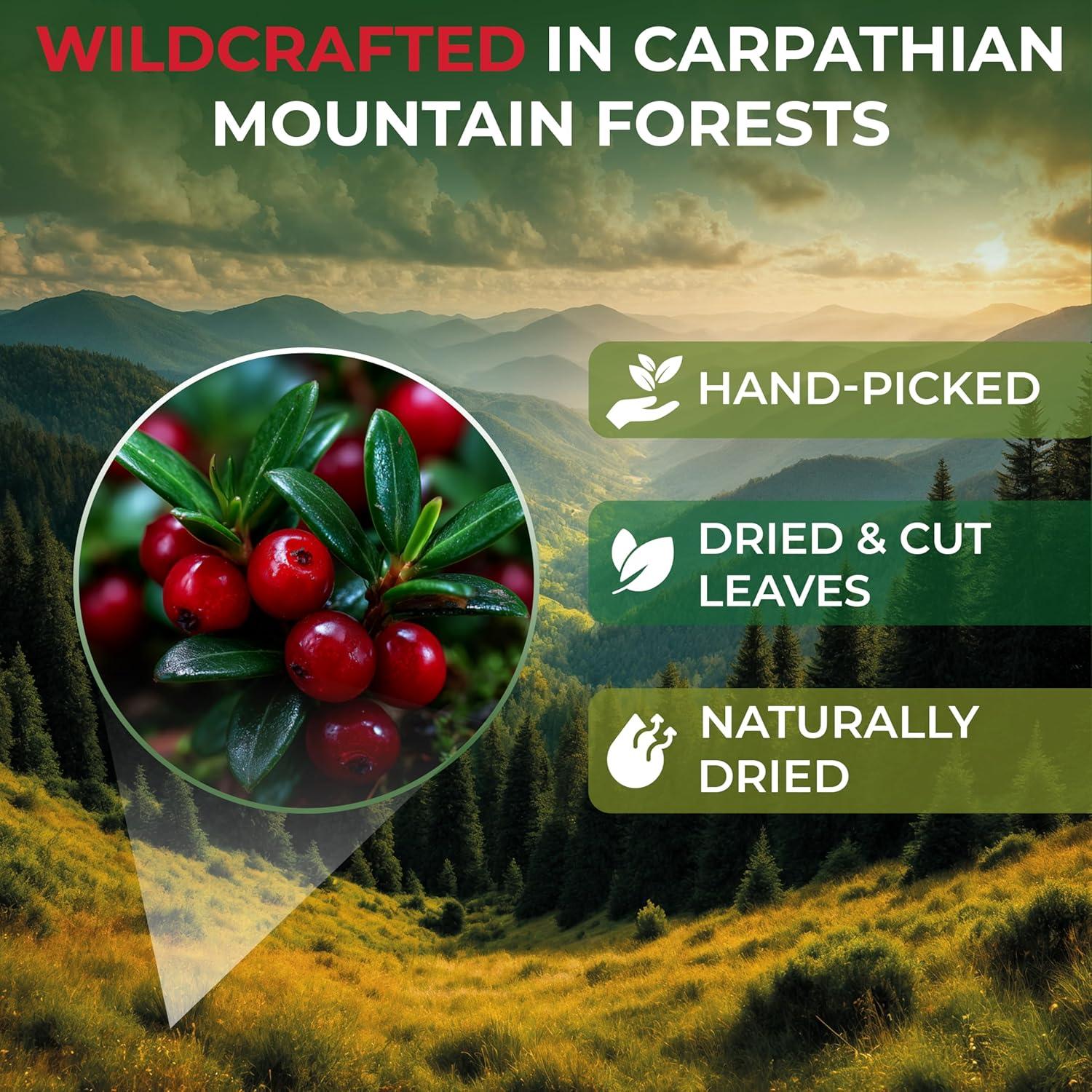 Té de Hierbas Uva Ursi 113g OVVA - Arctostaphylos Uva-Ursi