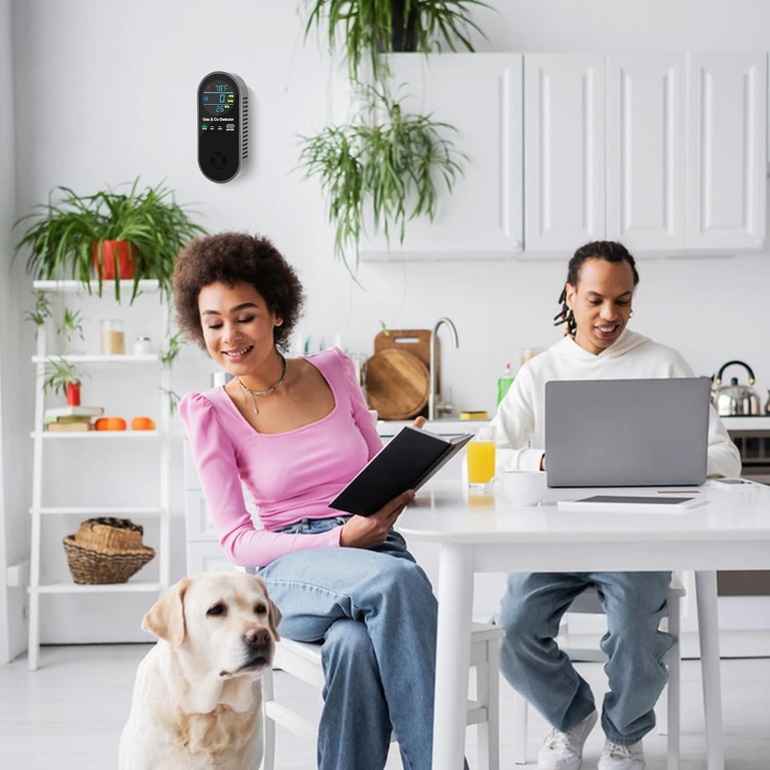 Detector de Monóxido de Carbono 4-en-1 LEMONTail Conectable