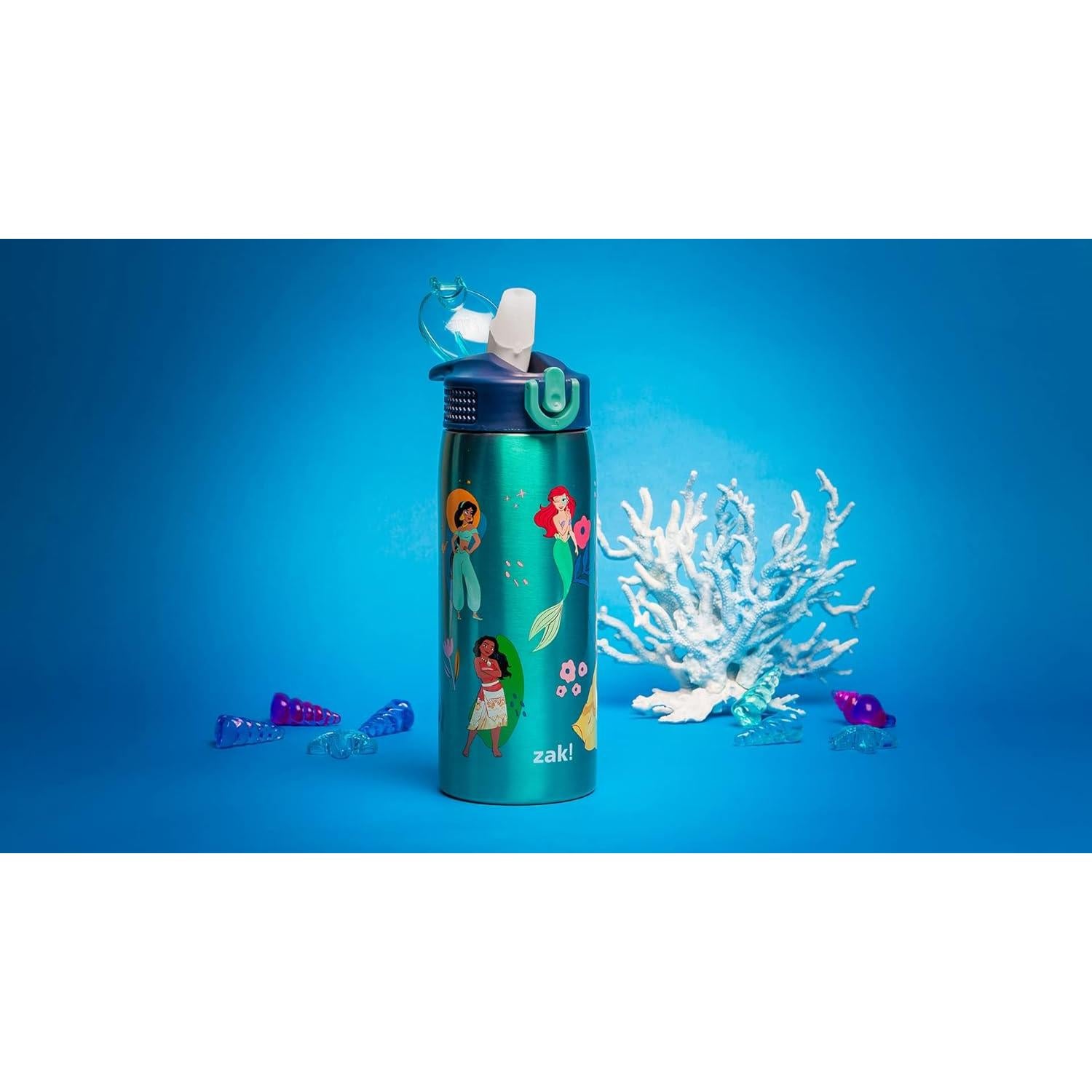 Botella de Agua Zak Designs Disney Princess 19 oz Acero