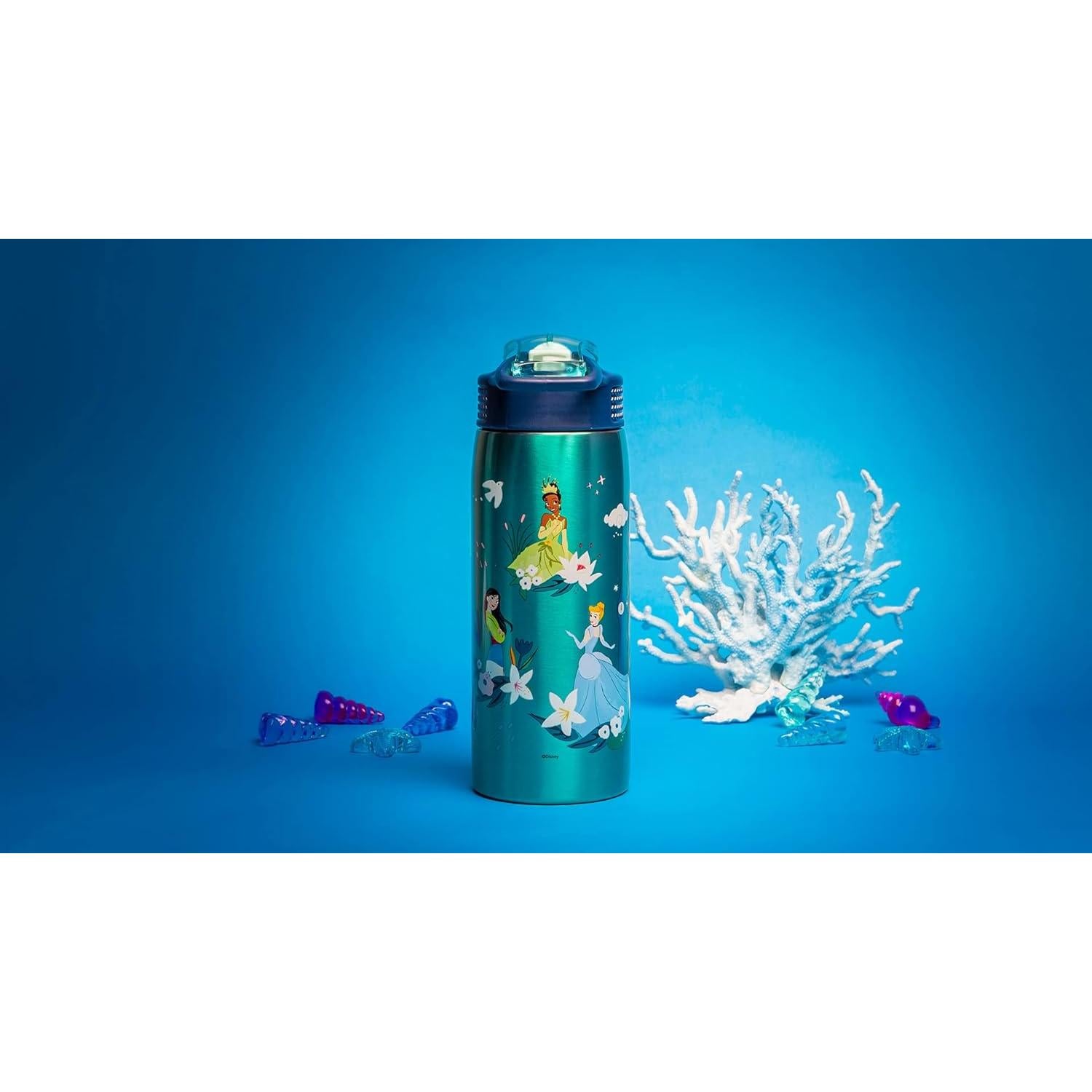 Botella de Agua Zak Designs Disney Princess 19 oz Acero