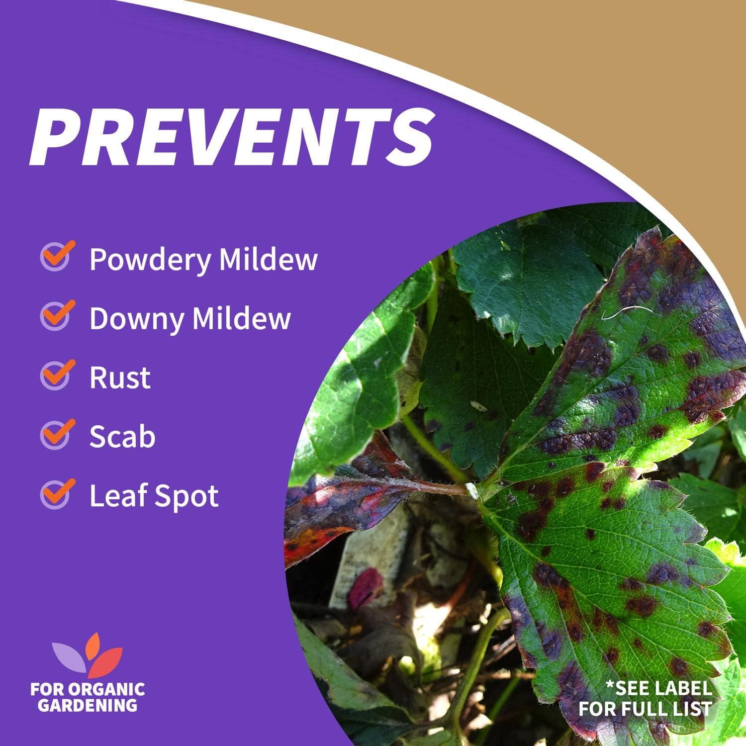 Aceite de Neem Concentrado Bonide 226.8 ml Insecticida 4 en 1