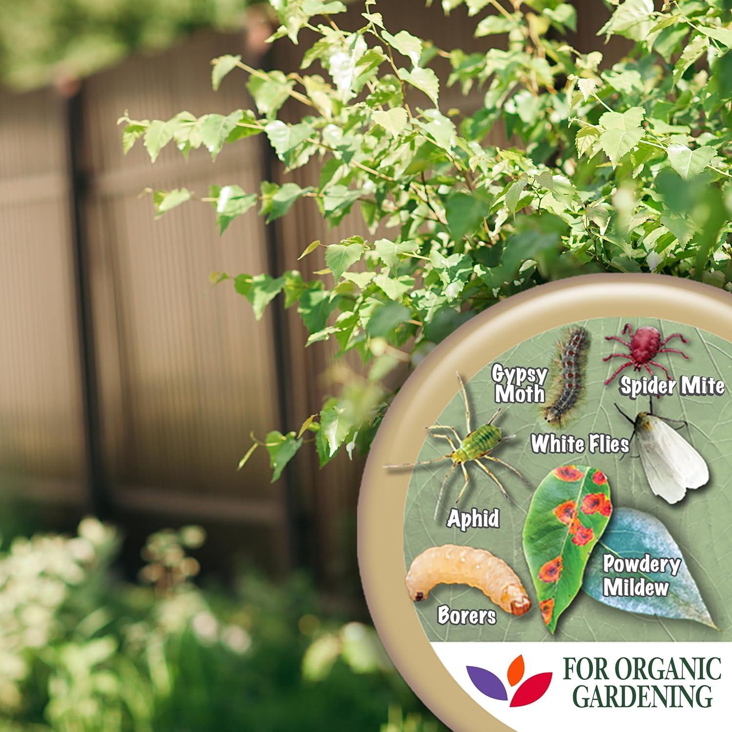 Aceite de Neem Concentrado Bonide 226.8 ml Insecticida 4 en 1