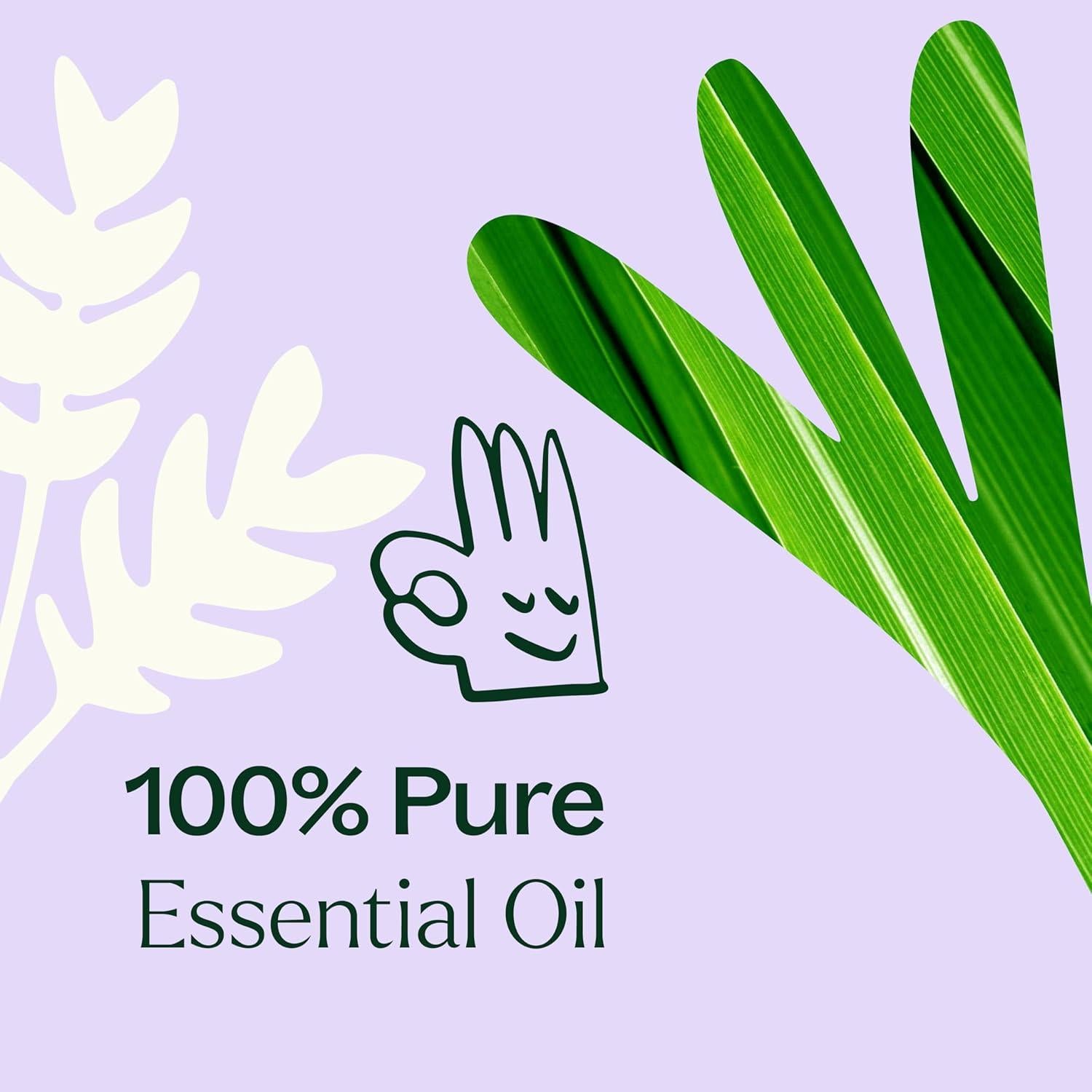 Mezcla de Aceite Esencial Anti Edad Plant Therapy 10 mL 100% Puro