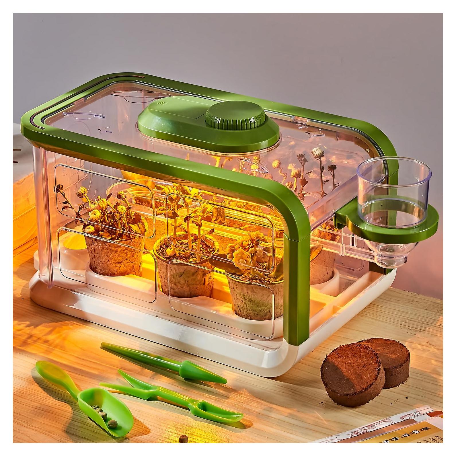 Kit de Crecimiento de Plantas para Niños Mostop con Riego y Luz