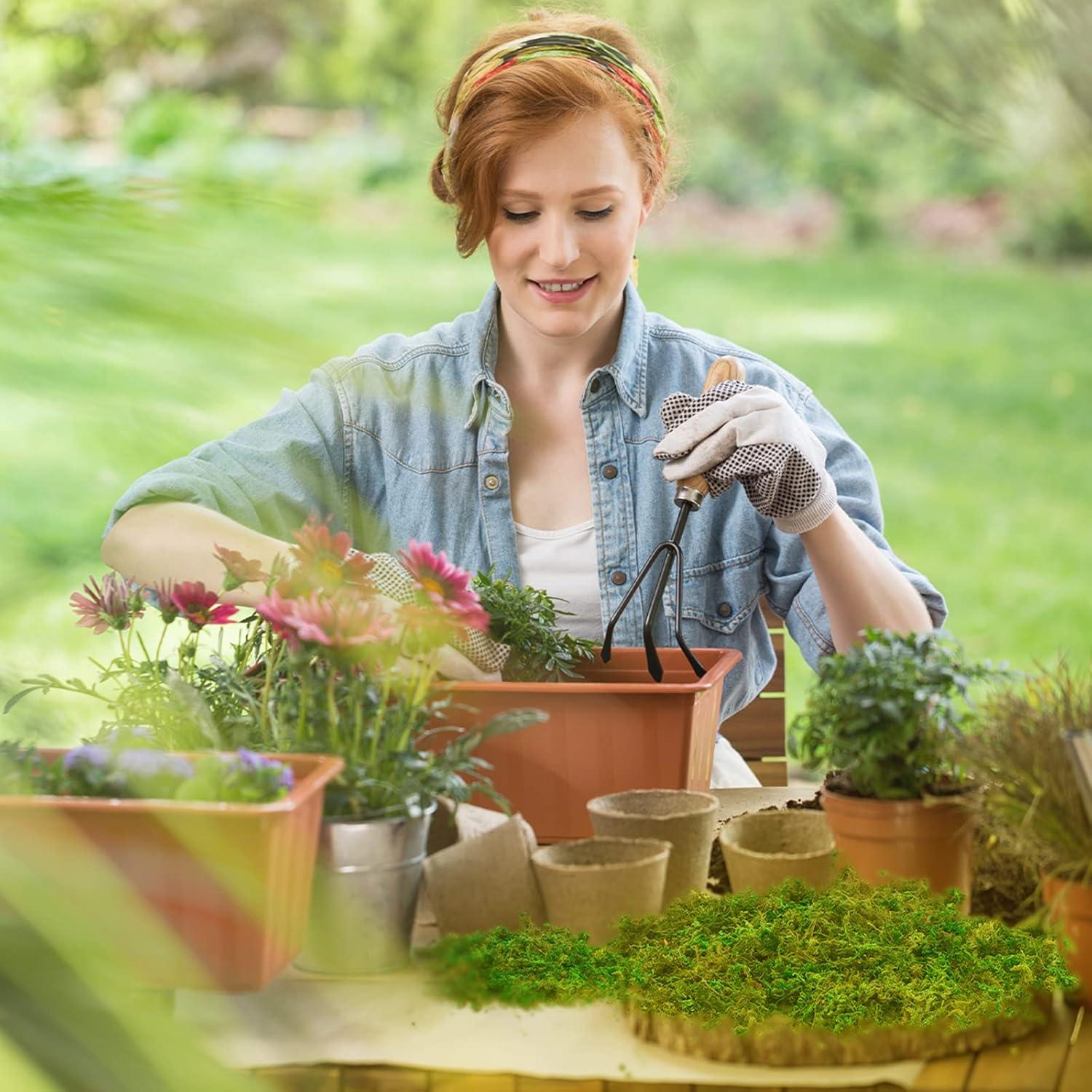 Musgo Verde Natural Preservado Giegxin 800g para Decoración