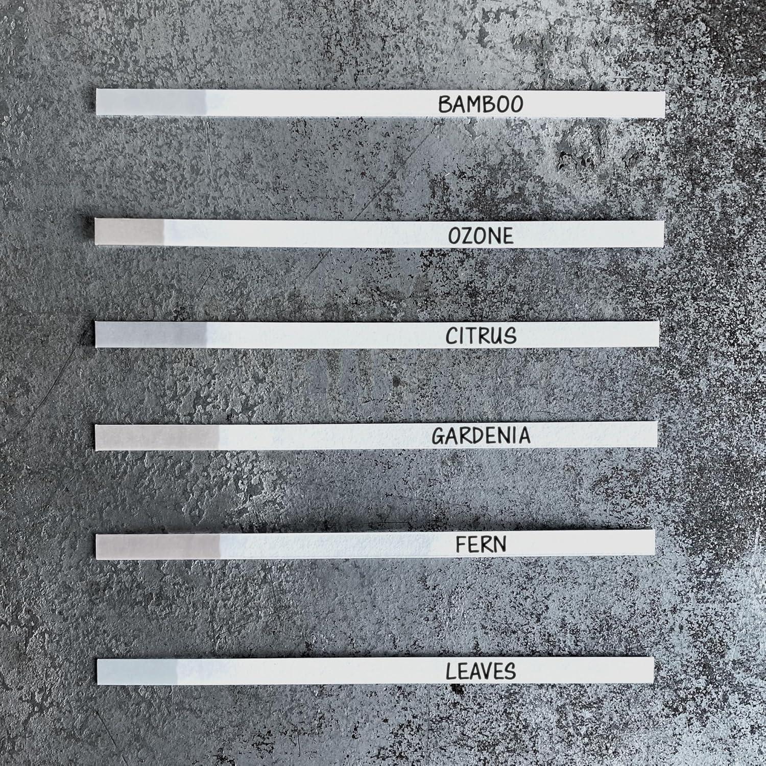 Vela Aromática Kanobi Bosque Lluvioso 255g Cera Soja Natural