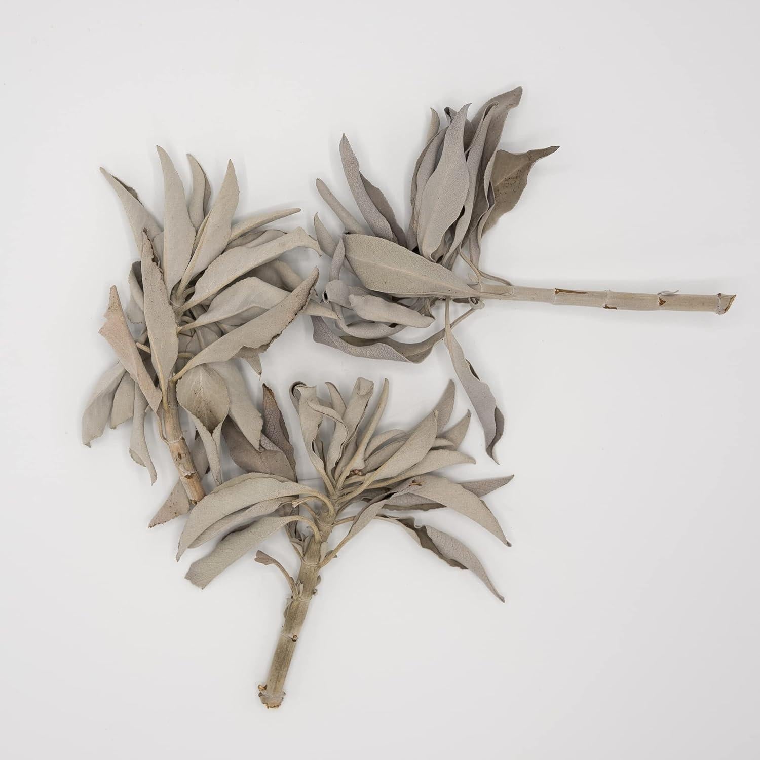 Salvia Blanca Pura Worldwide Botanicals 56.7 g - Cultivada Sostenible