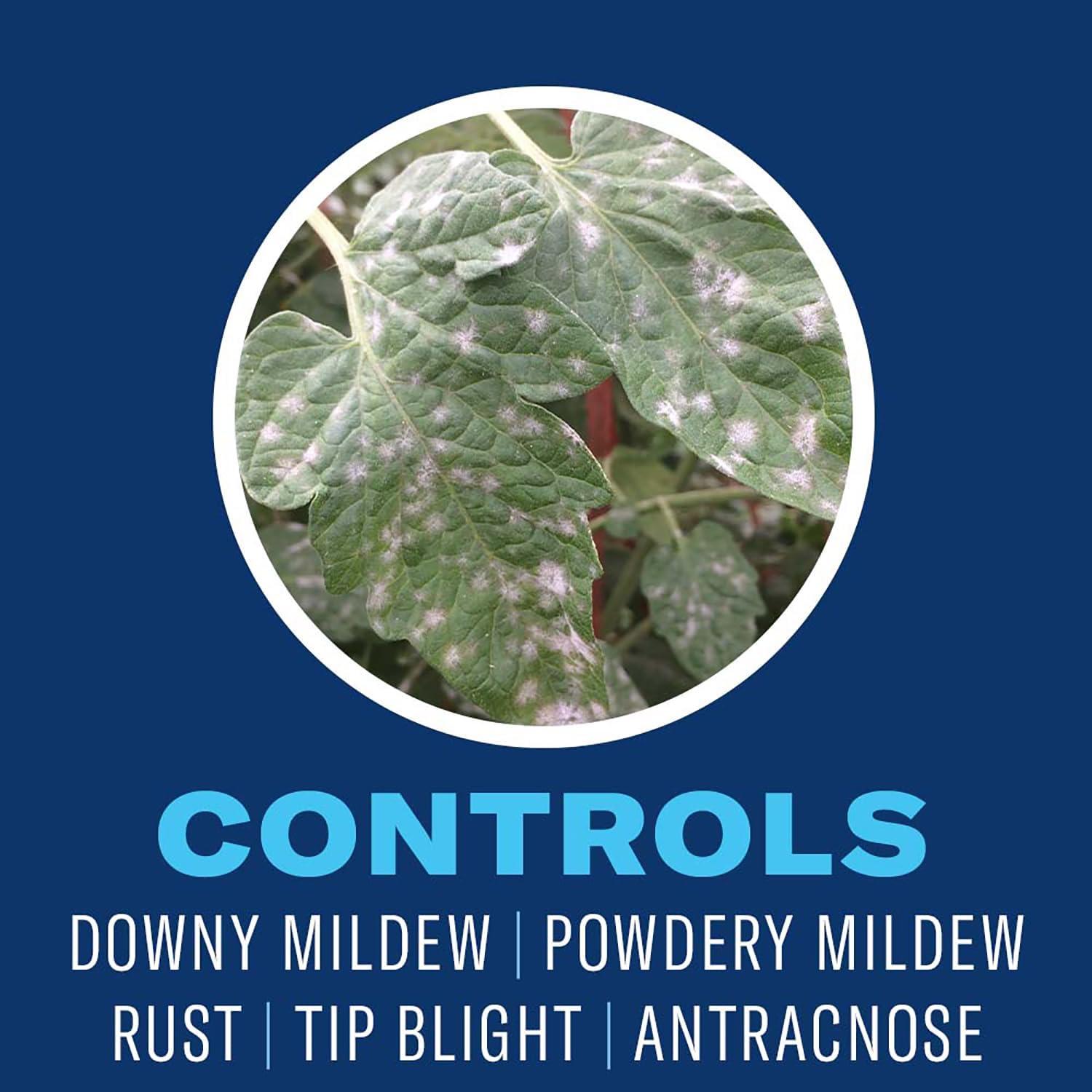 Aceite de Neem BioAdvanced 3.78L - Insecticida y Fungicida