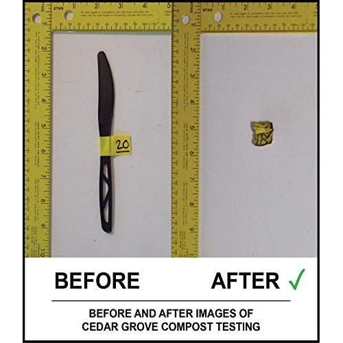 Cubiertos Compostables Transitions2earth - 200 Piezas 19.3 cm