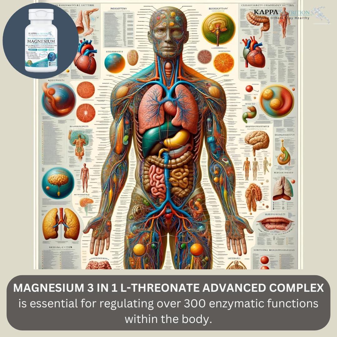 Kappa Nutrition Magbrain L-Treonato 60 Cápsulas 420 mg Magnesio