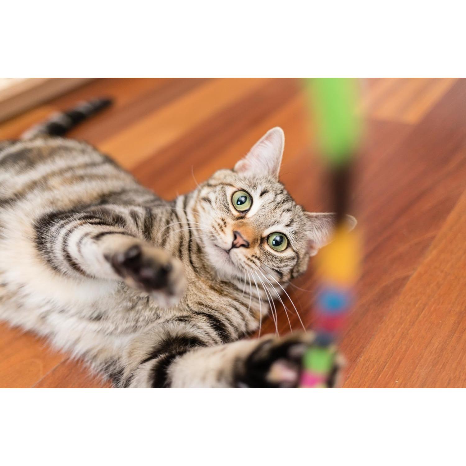 Suplemento Natural InClover Connectin para Articulaciones 85g