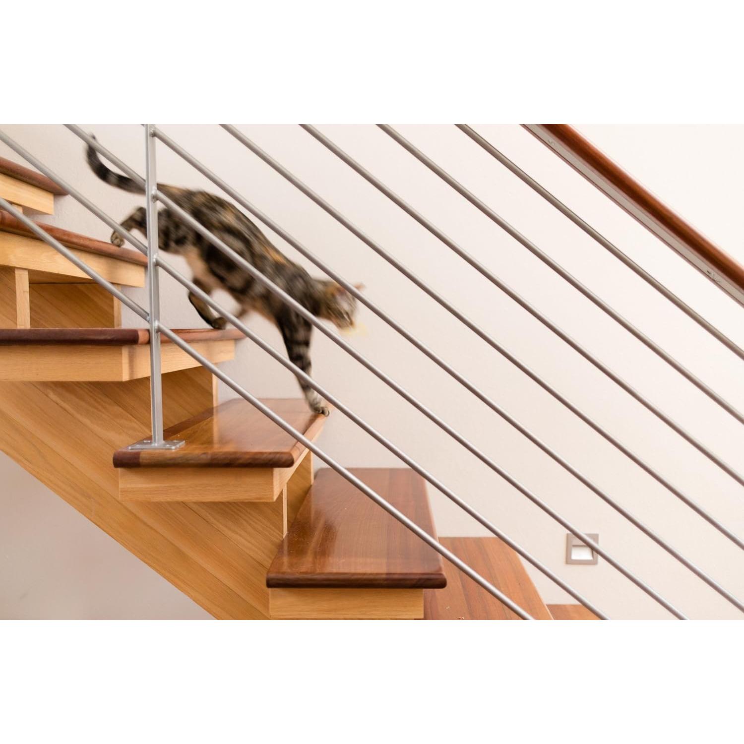 Suplemento Natural InClover Connectin para Articulaciones 85g