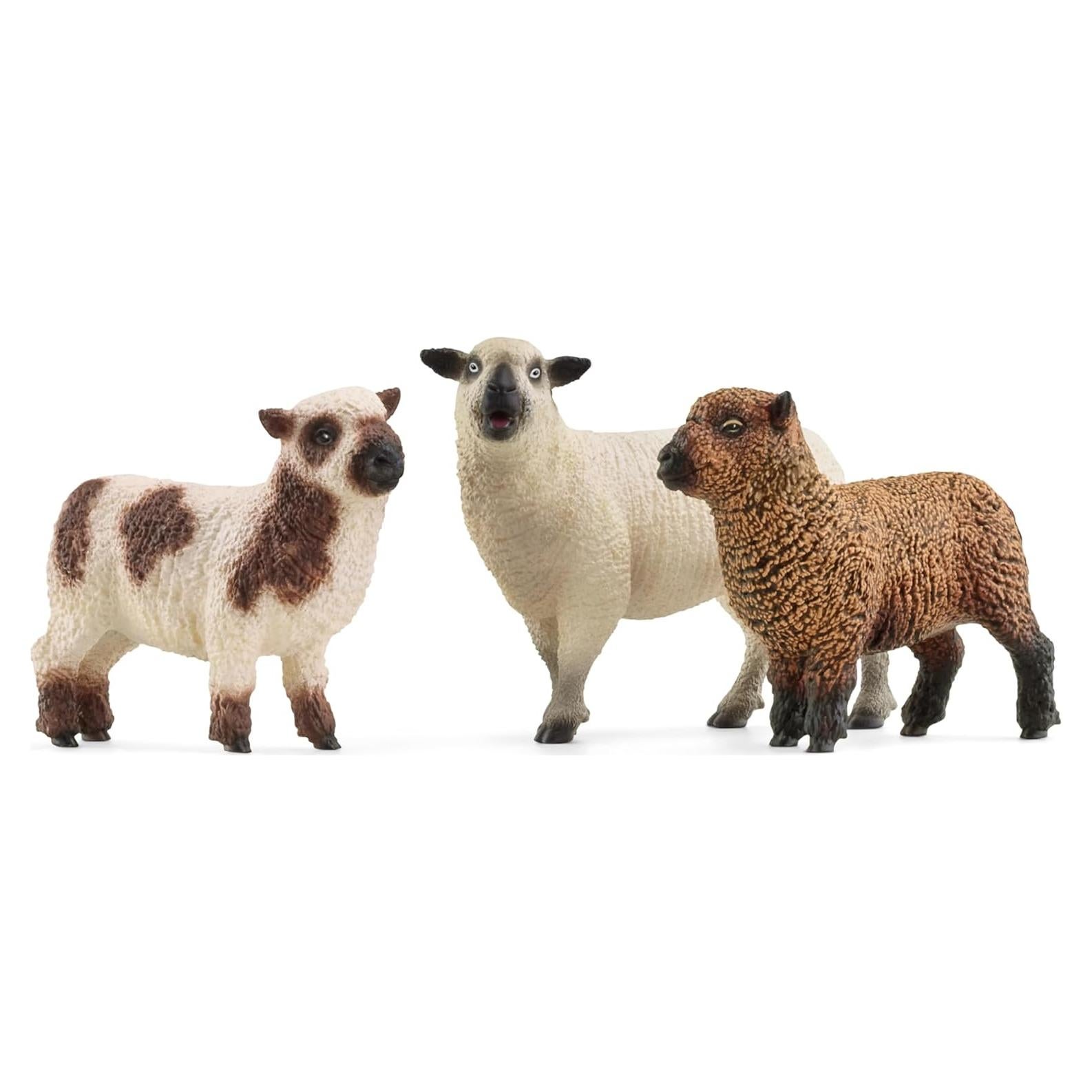 Set de Ovejas Schleich - Southdown Babydoll y Hampshire