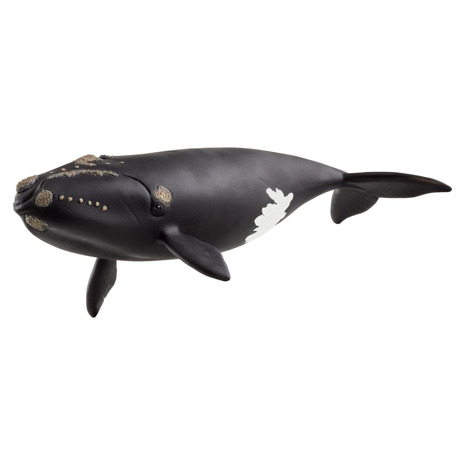 Figura de Ballena Derecha Schleich 19 cm Juguete Educativo