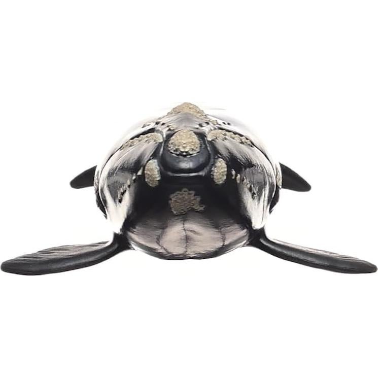 Figura de Ballena Derecha Schleich 19 cm Juguete Educativo