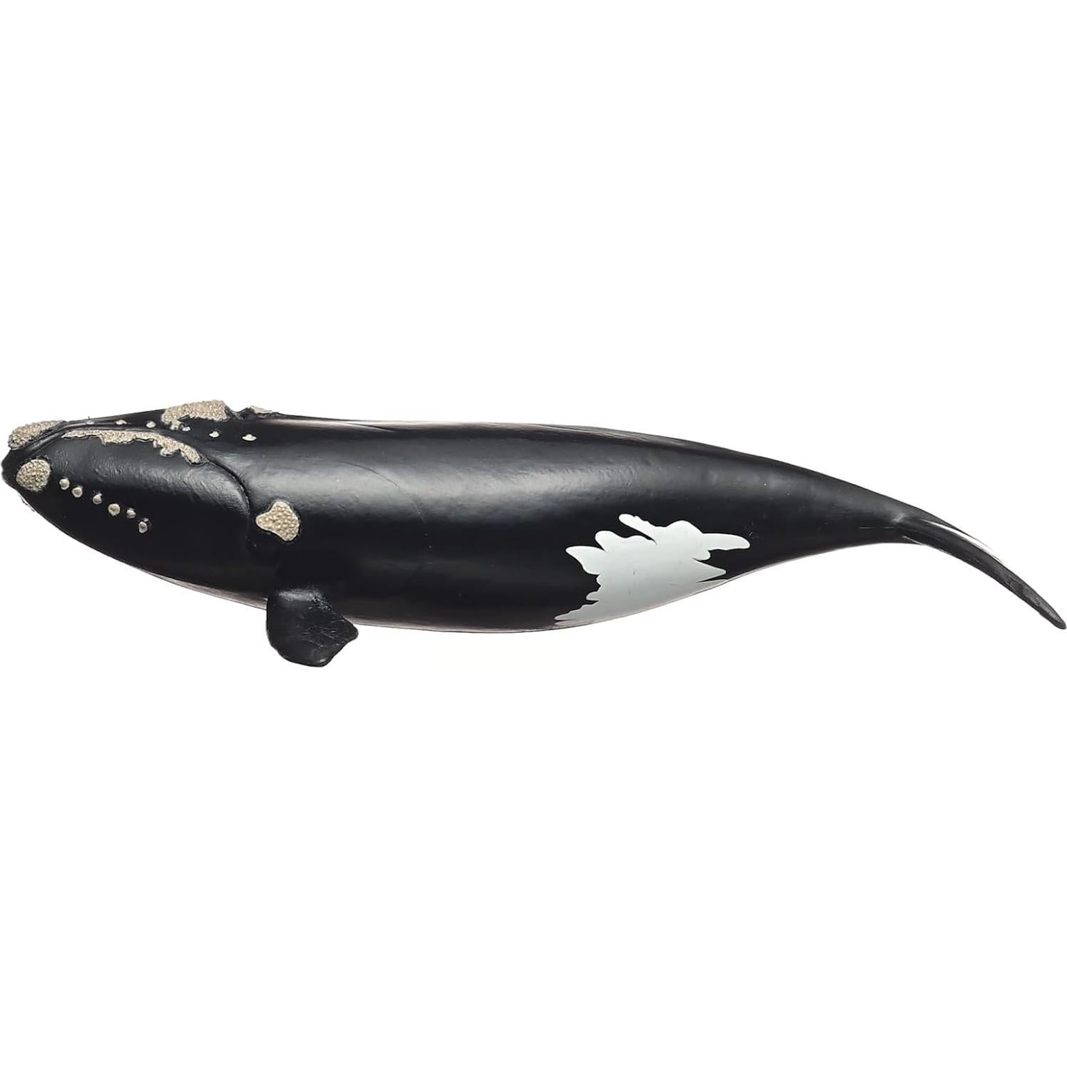 Figura de Ballena Derecha Schleich 19 cm Juguete Educativo