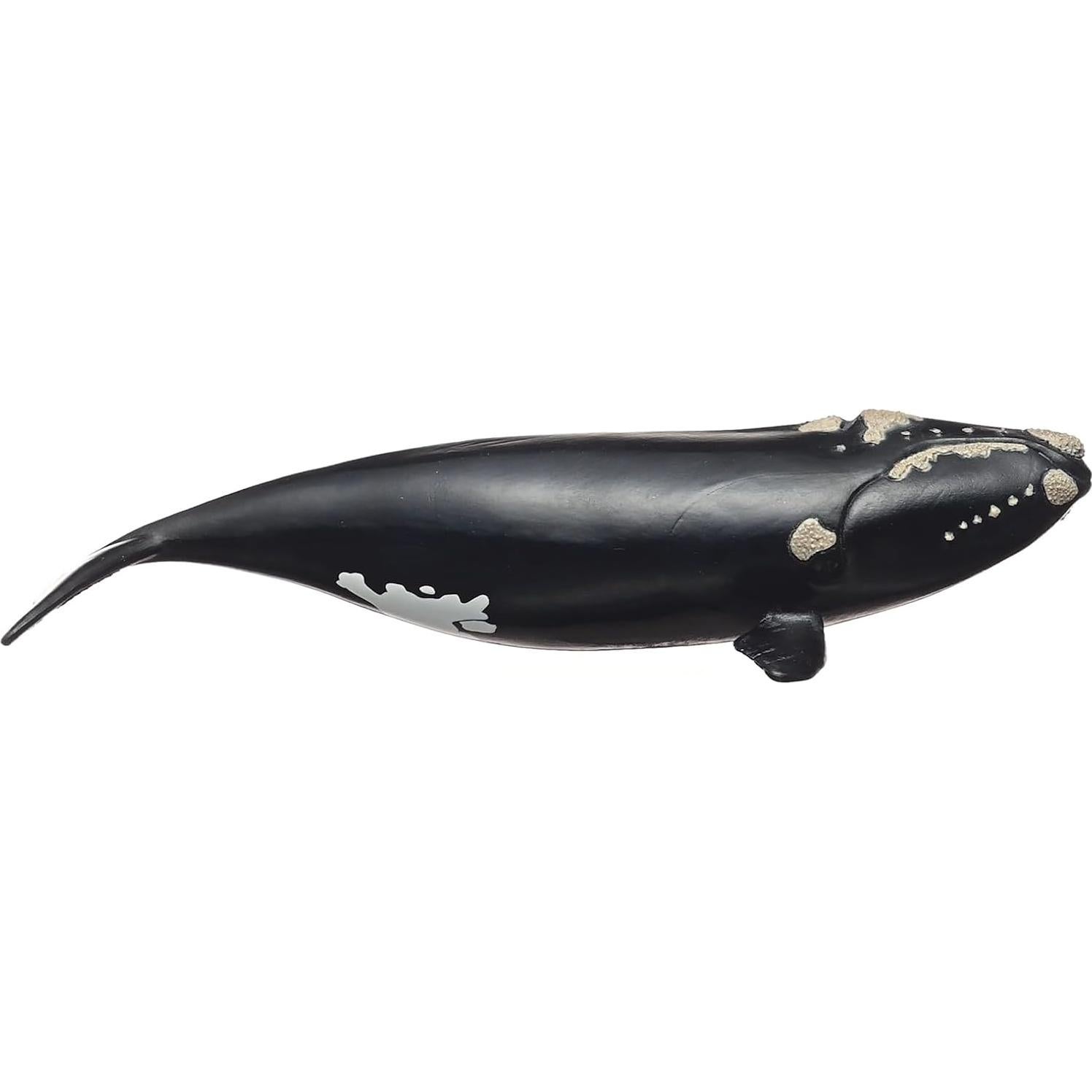 Figura de Ballena Derecha Schleich 19 cm Juguete Educativo