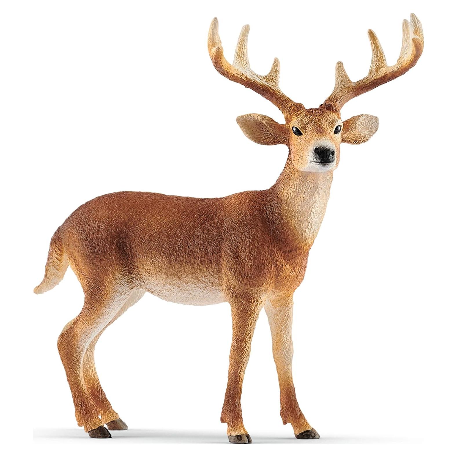 Figura de Ciervo de Cola Blanca Schleich - Juguete Educativo 3-8 Años