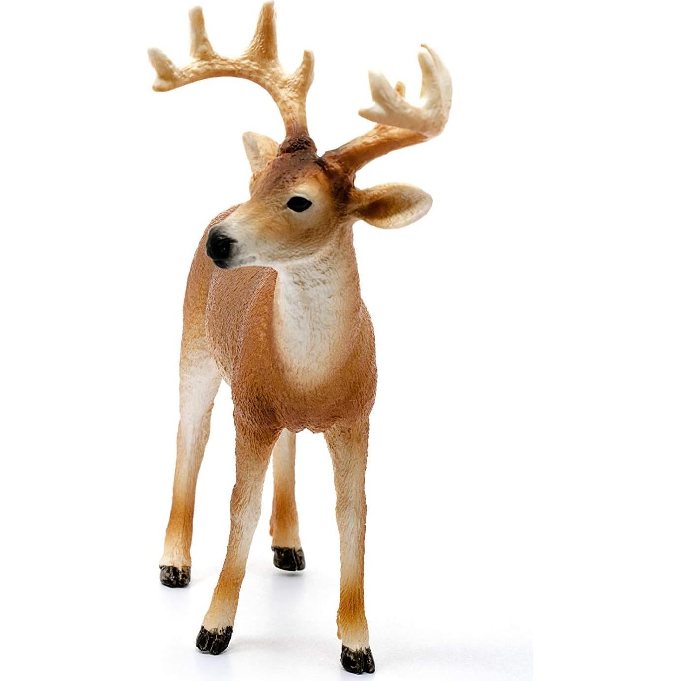 Figura de Ciervo de Cola Blanca Schleich - Juguete Educativo 3-8 Años