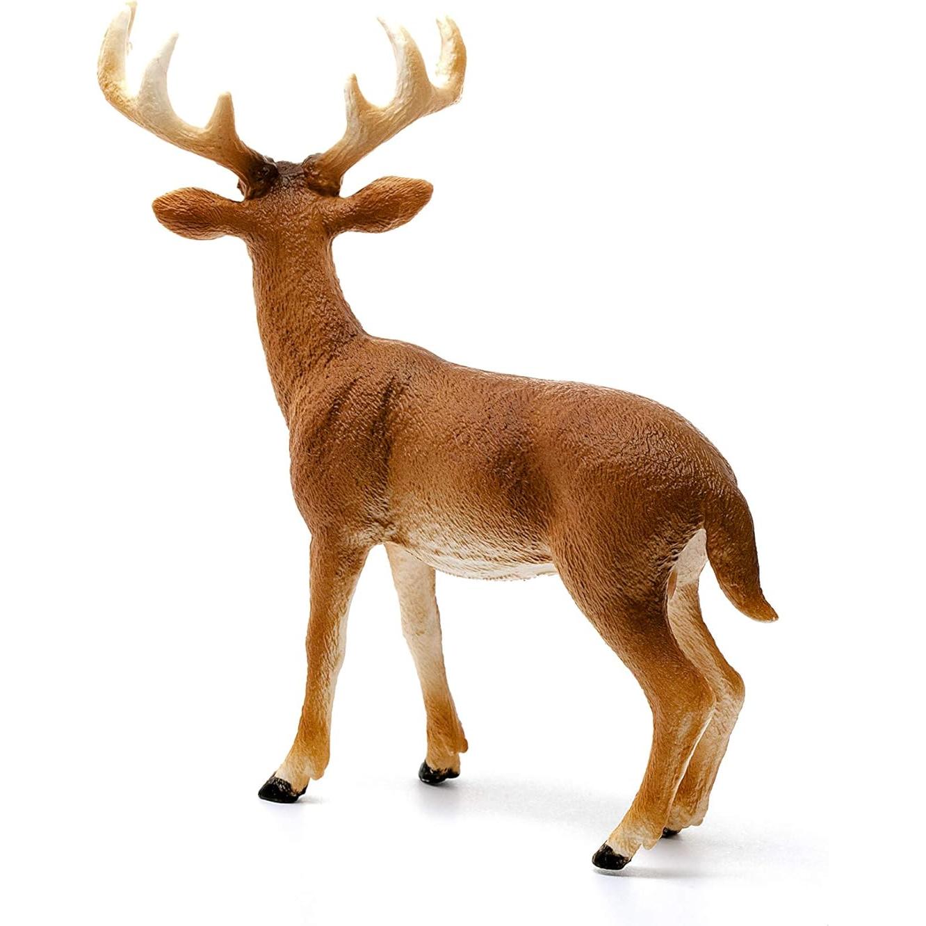 Figura de Ciervo de Cola Blanca Schleich - Juguete Educativo 3-8 Años