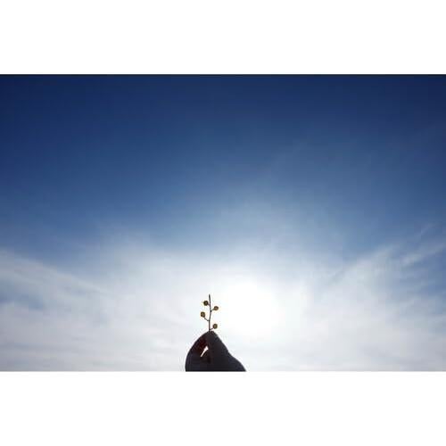 Lente Sigma 10-18mm f/2.8 DC DN Contemporánea para Canon RF-S