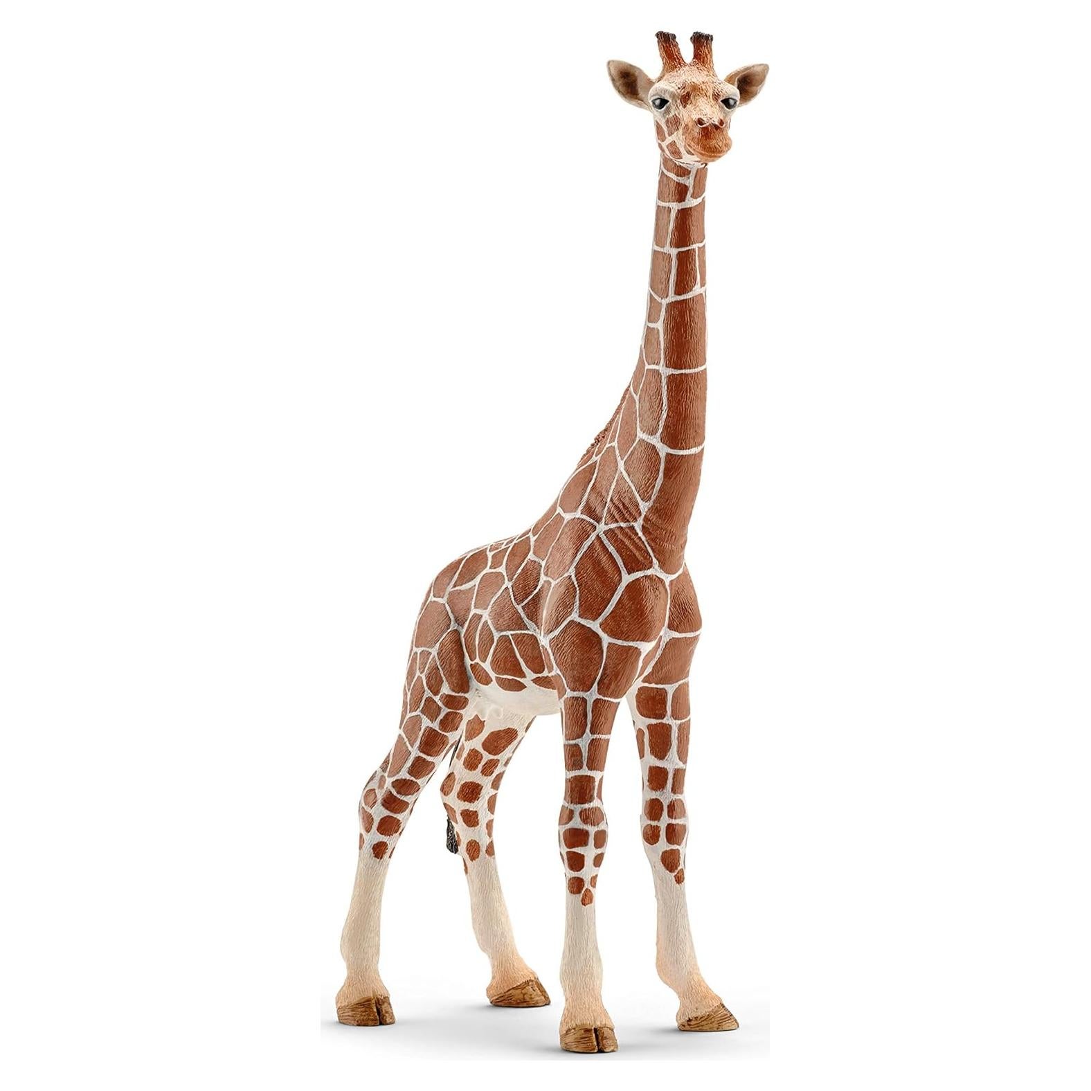 Figura Jirafa Femenina Schleich Wild Life 17.3 cm - Juguete Educativo