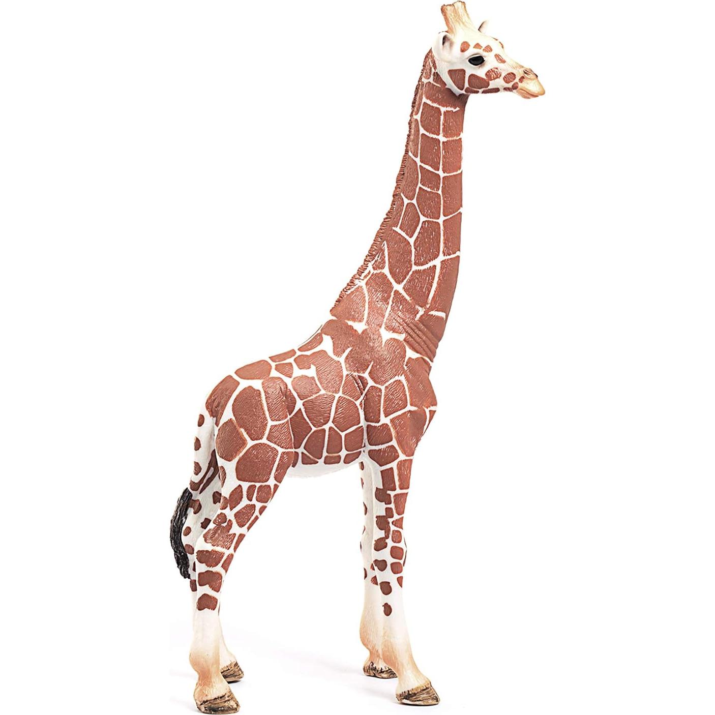 Figura Jirafa Femenina Schleich Wild Life 17.3 cm - Juguete Educativo