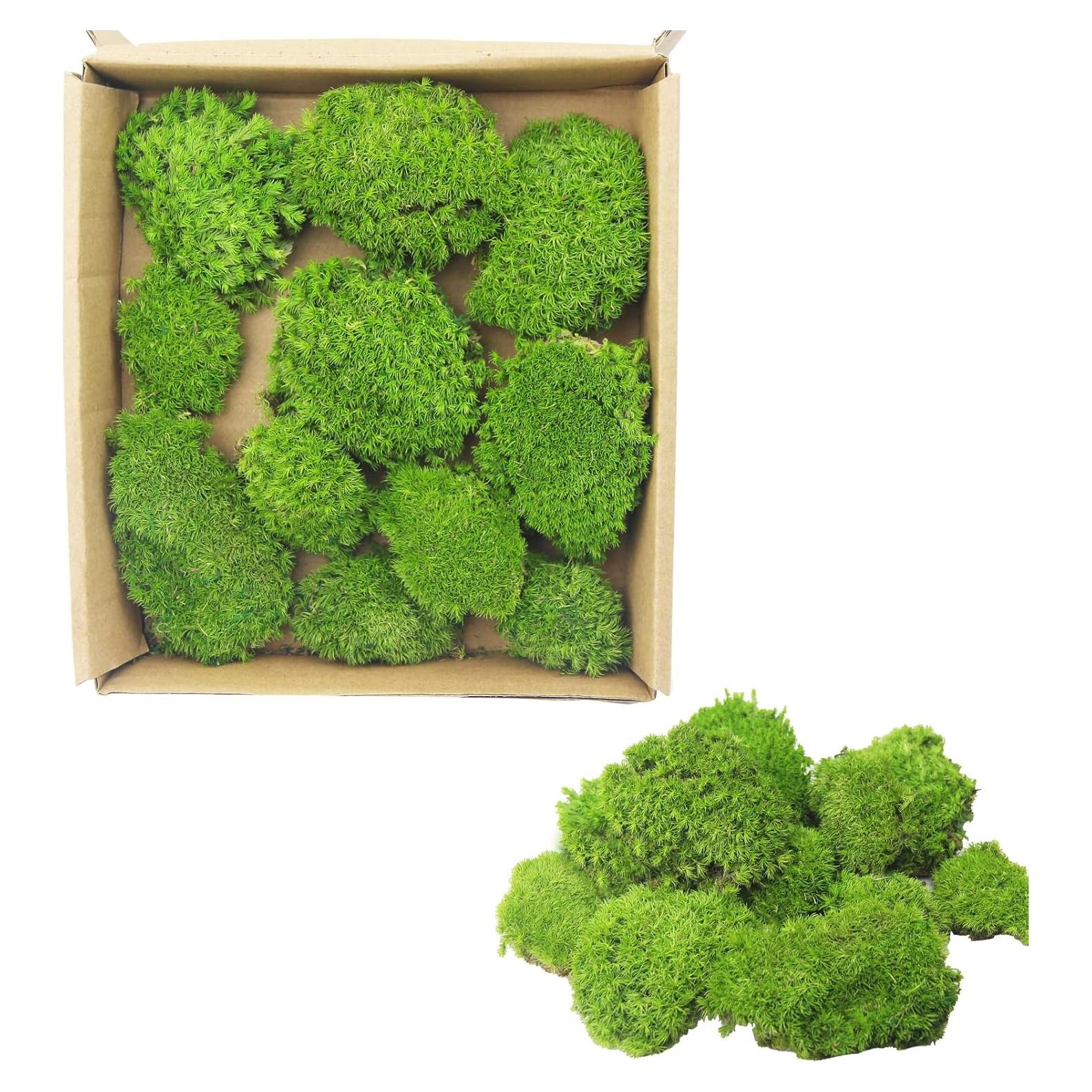 Almohadas de Musgo Verde FAICOIA 0.42 m² para Decoración