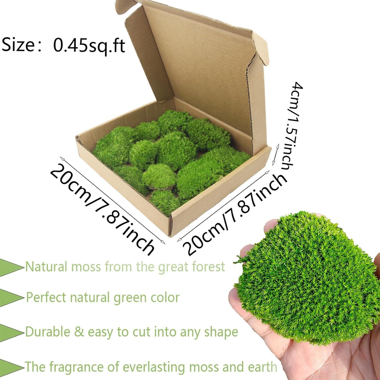 Almohadas de Musgo Verde FAICOIA 0.42 m² para Decoración